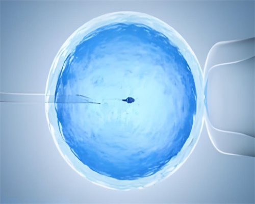 靠谱供卵试管包成功，供卵代生宝宝包男孩