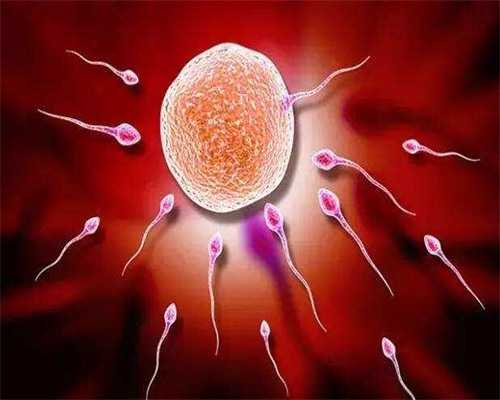 无锡高龄供卵助孕，无锡试管婴儿一般用什么方案