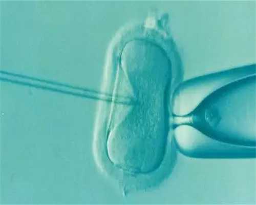 无锡供卵取几个，这个项目在无锡实施半年，好消息一个接一个