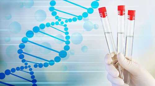 上海私人医院供卵试管，上海第三代试管费用多少钱