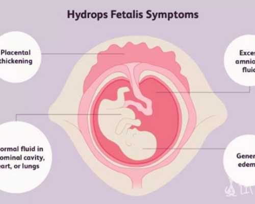 北京协和医院试管婴儿攻略，2026网友助孕流程经验分享