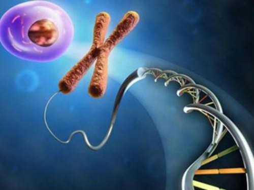 无锡代怀套餐方案，无锡美容院是怎么清痘的？