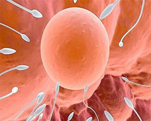 无锡代怀宝宝，这，就是无锡底气