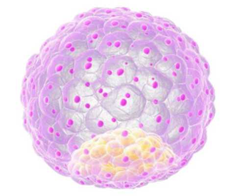 高龄做试管需要哪些条件?高龄做助孕试管成功率更高吗?