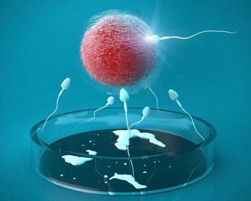 2026年在天津市做供卵试管多少钱