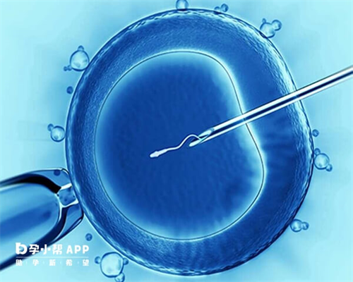 2026无锡哪里排队供卵不用等(供卵生男孩费用明细)