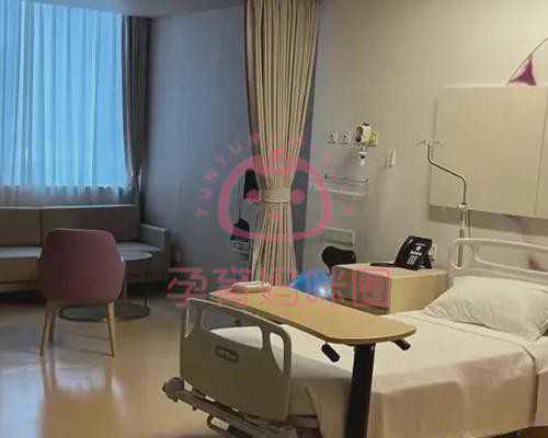 2026年深圳第三代试管婴儿费用是多少？