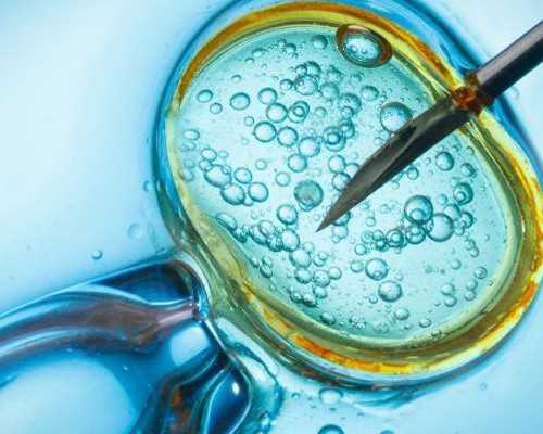 51岁供卵生孩子,【51岁做供卵试管成功率】家属签同意书，剖宫产。那瞬间又觉