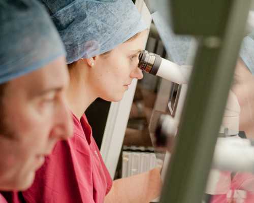 陕西地下代孕黑幕,起底地下代孕黑幕