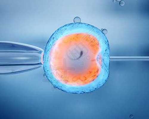 2026北京做供卵试管要多少钱