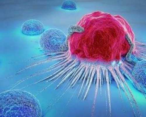 榆林借卵生子私立医院哪里最好？榆林供卵机构靠谱吗