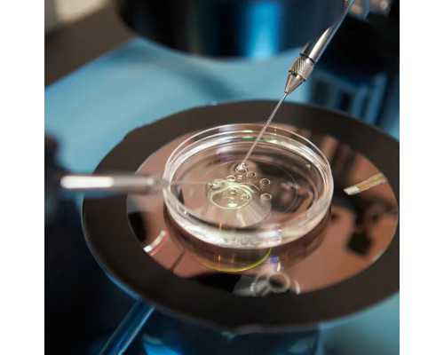 湖北染色体异常做三代试管婴儿包成功医院排名火热更新，附试管费用明细