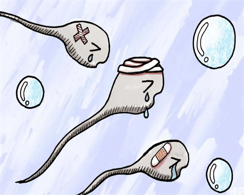 泰国三代试管,泰国第三代试管婴儿比国内做试管成功率更高？