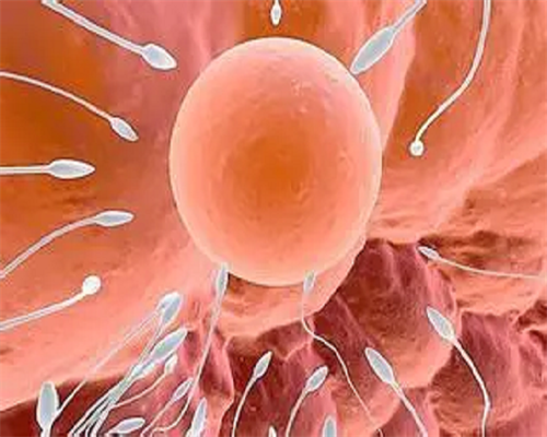 苏州可以借卵吗，苏州助孕哪家好一点苏州助孕哪家好